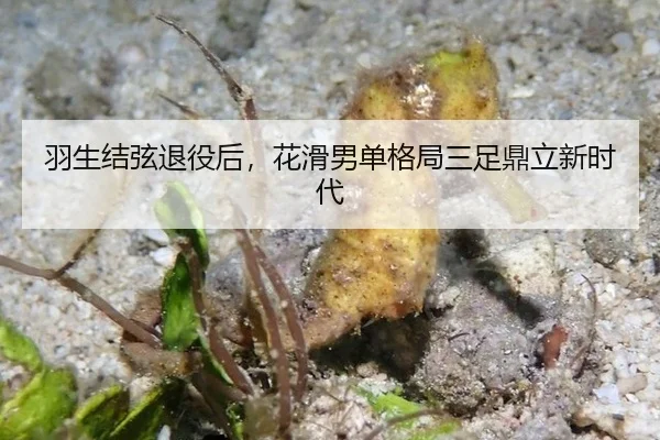 yu-sheng-jie-xian-tui-yi-hou-hua-hua-nan-dan-ge-ju-san-zu-ding-li-xin-shi-dai-3-366.jpg