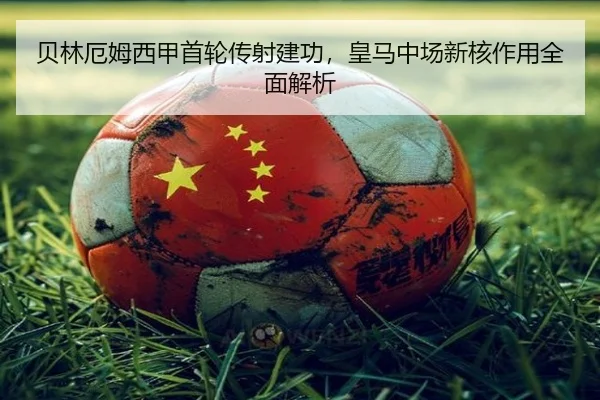 bei-lin-e-mu-xi-jia-shou-lun-chuan-she-jian-gong-huang-ma-zhong-chang-xin-he-zuo-yong-quan-mian-jie-xi-3-420.jpg
