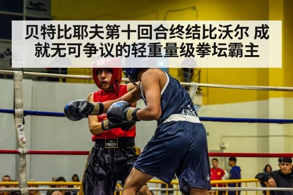 贝特比耶夫第十回合终结比沃尔 成就无可争议的轻重量级拳坛霸主