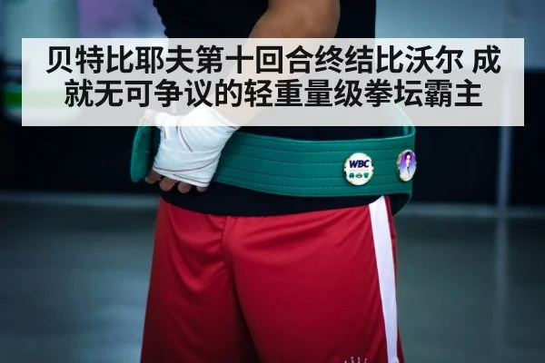 boxing championship belt